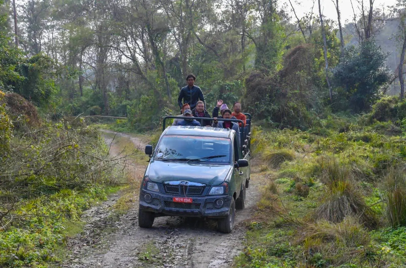 Jungle Safari