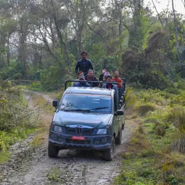 Jungle Safari