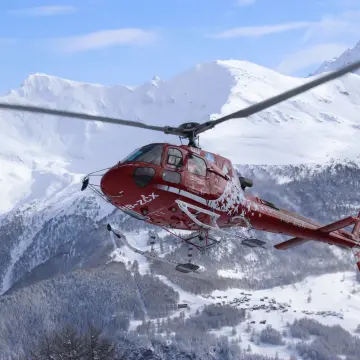 Mountain Flight